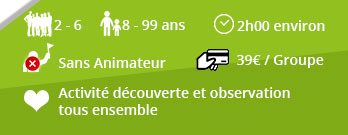 Descriptif activité Rallye Urbain - Urban Game - Jeu de Piste adulte, chasse au trésor adulte, course d'orientation, escape game outdoor, pour séminaire teambuilding, week end evjf, journée evg, anniversaire, activité en famille ou sortie scolaire - Citeamup