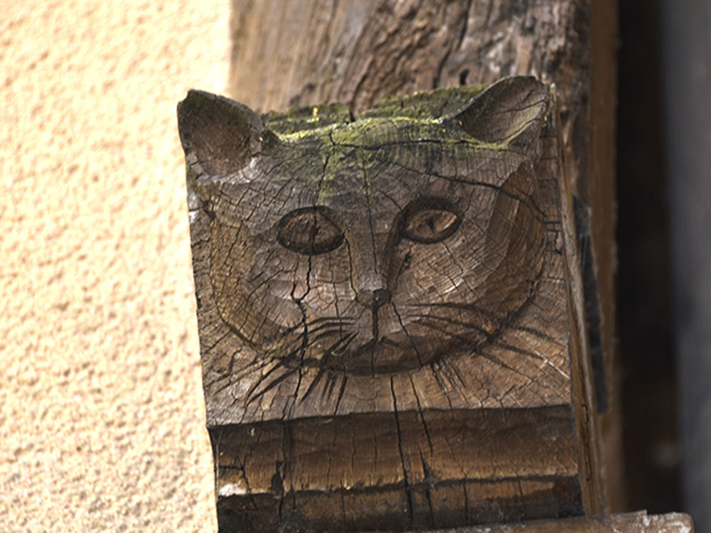 Conception d'un Rallye Urbain - Citeamup